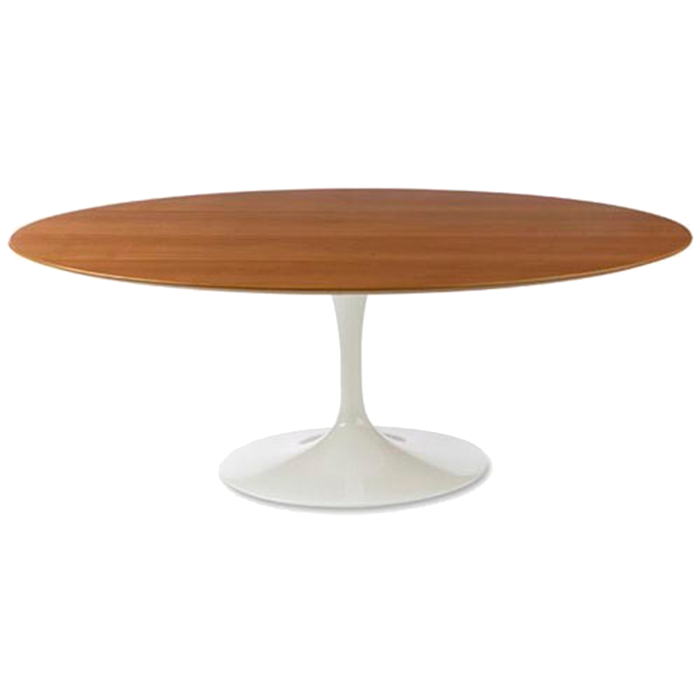 Mesa Saarinen